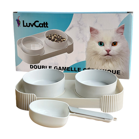 Pet ceramic bowl
